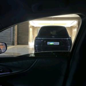 Утка из Ирана