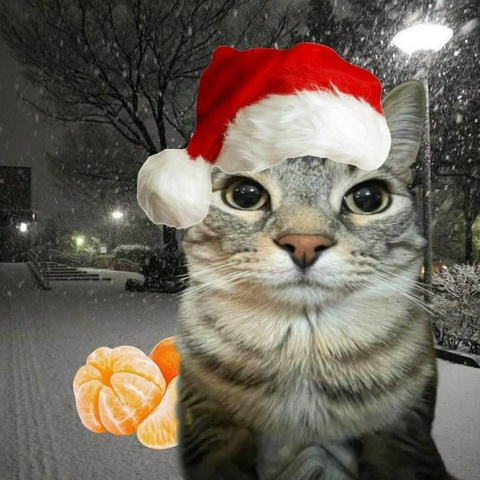 Влад Давыдов