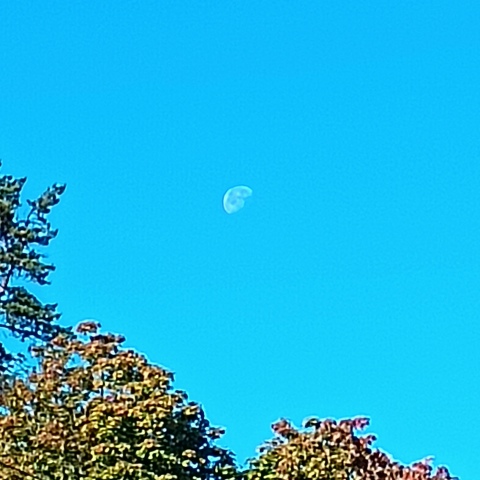 Святослав Рассин